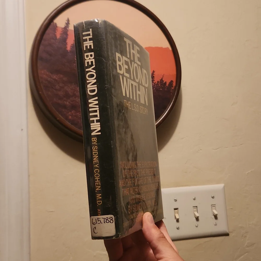 The Beyond Within The LSD Story - Picture 3 of 6